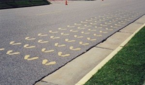 The Yellow Footprints that mark the beginning of the training path of the Marine (Photo Courtesy of togetherweserved.com)