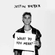 Justin Bieber What Do You Mean