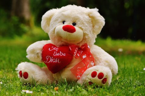 10 Cute Valentine’s Day Gift Ideas