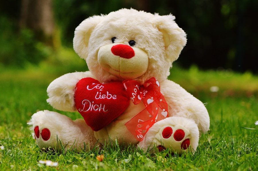 10 Cute Valentine's Day Gift Ideas