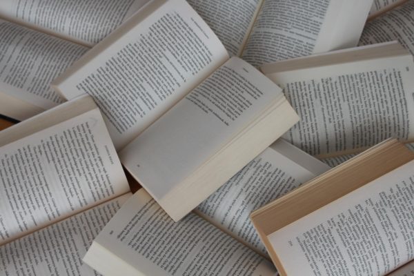 Image of multiple open books. Photo by Gülfer ERGİN on Unsplash
  